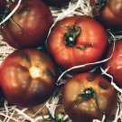 Black Prince Tomato Seeds Non GMO 50 Seeds Heirloom Indeterminate USA Seller Black Prince Tomato Seeds Non GMO 50 Seeds Heirloom Indeterminate USA Seller