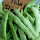 Organic Kentucky Wonder Pole Bean Seeds 100 Fresh Seeds USA Seller