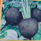 100 Black Spanish Round Radish Seeds Non GMO Heirloom USA Seller 100 Black Spanish Round Radish Seeds Non GMO Heirloom USA Seller