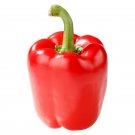 Big Red Sweet Bell Pepper Non GMO Heirloom 40 Seeds USA Seller