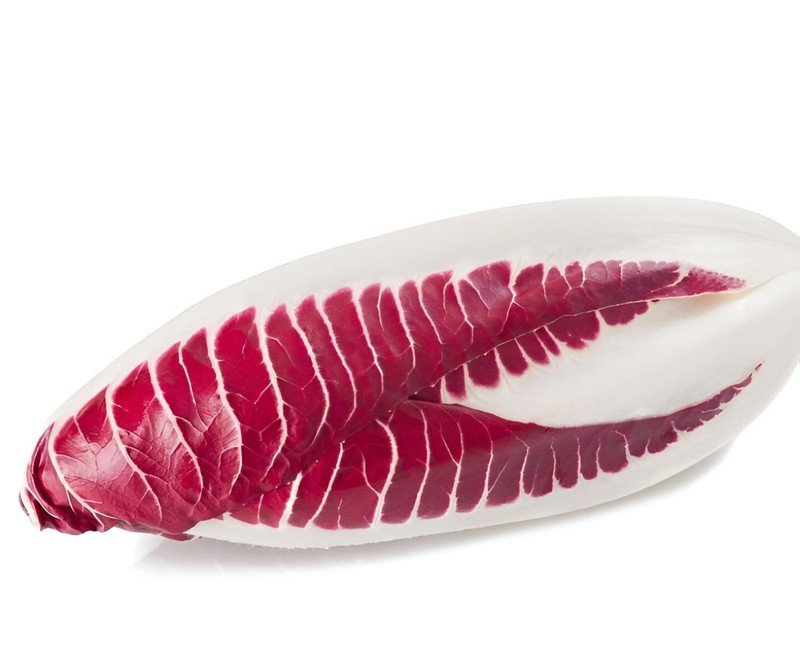 Red Treviso Endive Seeds 1000 Seeds Vegetable Tree Flower Grass USA Seller