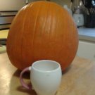 Pumpkin 5 Seeds Fresh This Season & Exotic USA Seller
