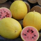 50 Golden Midget Watermelon Seeds For Garden Planting USA Seller
