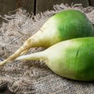 500 Chinese Green Luobo Radish Seeds For Garden Planting USA Seller