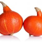 25 Ambercup Squash Seeds For Garden Planting USA Seller