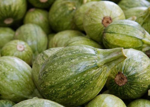 25 Ronde De Nice Squash Seeds For Garden Planting USA Seller