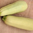 25 Cousa Squash Seeds For Garden Planting USA Seller