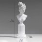 Large 14" White Resin Bust Sculpture - Modern Classical Decorative Art Figurine