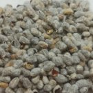 American White Cotton Gossypium Hirsitum 500 Seeds 57G Of Fuzzy Seed USA Seller