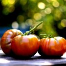 Cherokee Purple Organic Tomato Seeds Packet 50 Seeds Juicy USA Seller