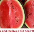 50 Seeds Sugar Baby Watermelon Fruit Heirloom Non Gmo Melon USA Seller