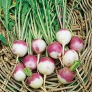 Rutabaga Seed American Purple Top Heirloom Organic Non Gmo 100 Seeds USA Seller