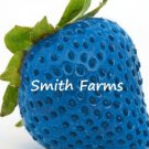 200 Seeds Cerulean Blue Strawberries Edible Healthy Fruit Strawberry US Fast Shipping 200 Seeds Cerulean Blue Strawberries Edible Healthy Fruit Strawberry US Fast Shipping