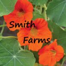 30 Seeds Orange Nasturtium Flowers US Fast Shipping