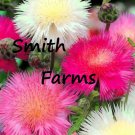 50 Seeds Pink White Sweet Sultan Flowers Mixed Cornflower US Fast Shipping 50 Seeds Pink White Sweet Sultan Flowers Mixed Cornflower US Fast Shipping