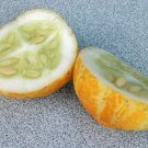 Cucumis Sativus Lemon Lemon Cucumber 20 Seeds Fast Growing Cucumis Sativus Lemon Lemon Cucumber 20 Seeds Fast Growing