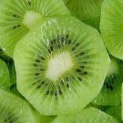 Actinidia Deliciosa Chinese Gooseberry Kiwi Fruit 10 Seeds Fast Growing Actinidia Deliciosa Chinese Gooseberry Kiwi Fruit 10 Seeds Fast Growing
