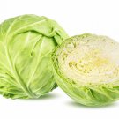 500 White Common Cabbage Seeds For Garden Planting Fast Growing 500 White Common Cabbage Seeds For Garden Planting Fast Growing