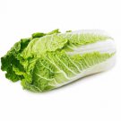 500 Napa Chinese Cabbage Seeds For Garden Planting Fast Growing 500 Napa Chinese Cabbage Seeds For Garden Planting Fast Growing
