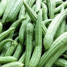 25 Sponge Gourd Squash Seeds For Garden Planting Fast Growing 25 Sponge Gourd Squash Seeds For Garden Planting Fast Growing