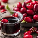 10 Cornelian Cherry Seeds For Garden Planting Fast Growing 10 Cornelian Cherry Seeds For Garden Planting Fast Growing
