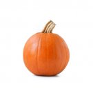 25 Sugar Pie Pumpkin Seeds For Garden Planting Fast Growing 25 Sugar Pie Pumpkin Seeds For Garden Planting Fast Growing