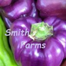 25 Seeds Purple Bell Peppers Sweet Garden Fresh Healthy Planting Fast Growing 25 Seeds Purple Bell Peppers Sweet Garden Fresh Healthy Planting Fast Growing