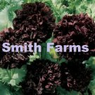100 Seeds Poppy Black Peony Flowers New Crop Garden Planting Fast Growing 100 Seeds Poppy Black Peony Flowers New Crop Garden Planting Fast Growing