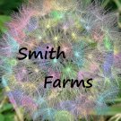 25 Seeds Rainbow Dandelions Beautiful Flowers Garden Planting Fast Growing 25 Seeds Rainbow Dandelions Beautiful Flowers Garden Planting Fast Growing