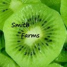 50 Seeds Kiwi Sweet & Juicy Healthy Fruit Planting Garden Fast Growing 50 Seeds Kiwi Sweet & Juicy Healthy Fruit Planting Garden Fast Growing