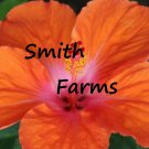 25 Seeds Orange & Pink Hibiscus Flower Seeds Plants Garden Planting Fast Growing 25 Seeds Orange & Pink Hibiscus Flower Seeds Plants Garden Planting Fast Growing