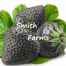 200 Seeds Black Strawberries Fresh Juicy Garden Fruit Strawberry Fast Growing 200 Seeds Black Strawberries Fresh Juicy Garden Fruit Strawberry Fast Growing
