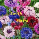 50 Seeds Mixed Color Cornflower Flowers Bachelor Button Centaurea Cyanus Fast Growing 50 Seeds Mixed Color Cornflower Flowers Bachelor Button Centaurea Cyanus Fast Growing