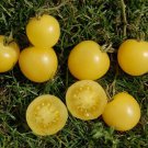 50 Seeds Super Snow White Tomato Tomatoe Vegetable Garden Edible Canning Fast Growing 50 Seeds Super Snow White Tomato Tomatoe Vegetable Garden Edible Canning Fast Growing