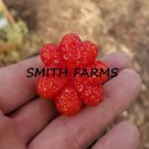 200 Seeds Red Heart Strawberries Strawberry Shaped Fruit Fast Growing 200 Seeds Red Heart Strawberries Strawberry Shaped Fruit Fast Growing