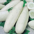 25 Seeds White Wonder Cucumbers Heirloom Cucks Vegetable Garden Planting Fast Growing
