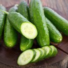 25 Seeds Tennessee Cucumbers Fast Growing 50 Day Harvest Vegetable Garden Plant Fast Growing