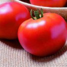 50 Seeds Ridge Runner Tomato Tomatoe Vegetable Garden Edible Canning Fast Growing