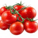 50 Seeds Plum Crimson Tomato Tomatoe Vegetable Garden Edible Canning Fast Growing 50 Seeds Plum Crimson Tomato Tomatoe Vegetable Garden Edible Canning Fast Growing