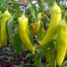 25 Seeds Banana Pepper Garden Fresh Vegetables Healthy Planting Edible Fast Growing 25 Seeds Banana Pepper Garden Fresh Vegetables Healthy Planting Edible Fast Growing