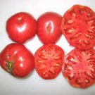 50 Seeds Neves Azorean Red Tomato Tomatoe Vegetable Garden Edible Canning Fast Growing 50 Seeds Neves Azorean Red Tomato Tomatoe Vegetable Garden Edible Canning Fast Growing