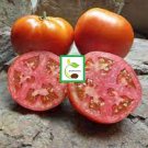 50 Seeds Mountain Spring Tomato Tomatoe Vegetable Garden Edible Canning Fast Growing 50 Seeds Mountain Spring Tomato Tomatoe Vegetable Garden Edible Canning Fast Growing