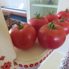 50 Seeds Illinois Beauty Tomato Juicy Tomatoe Vegetable Garden Edible Food Fast Growing