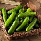 25 Seeds Green Slam Cucumbers Planting Edible Food Fast Growing 25 Seeds Green Slam Cucumbers Planting Edible Food Fast Growing