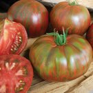 50 Seeds Green Berkeley Tie Dye Tomato Juicy Tomatoe Vegetable Garden Edible Fast Growing 50 Seeds Green Berkeley Tie Dye Tomato Juicy Tomatoe Vegetable Garden Edible Fast Growing