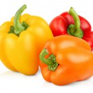 25 Seeds Mixed Bell Sweet Pepper Garden Vegetables Planting Edible Food Fast Growing 25 Seeds Mixed Bell Sweet Pepper Garden Vegetables Planting Edible Food Fast Growing
