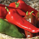 25 Seeds Corno Di Toro Pepper Garden Vegetables Planting Edible Food Fast Growing 25 Seeds Corno Di Toro Pepper Garden Vegetables Planting Edible Food Fast Growing