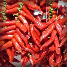 25 Seeds Cacho De Cabra Pepper Garden Vegetables Planting Edible Food Fast Growing 25 Seeds Cacho De Cabra Pepper Garden Vegetables Planting Edible Food Fast Growing