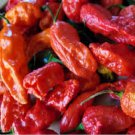 25 Seeds Ghost Pepper Garden Vegetables Planting Edible Food Fast Growing