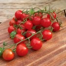 50 Seeds Christmas Grapes Tomato Juicy Tomatoe Vegetable Garden Edible Food Fast Growing 50 Seeds Christmas Grapes Tomato Juicy Tomatoe Vegetable Garden Edible Food Fast Growing